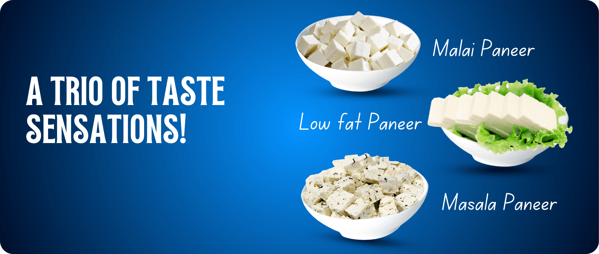 Paneer Banner